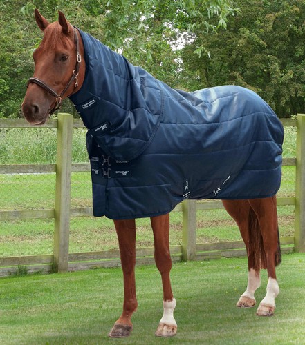 Premier equine stratus stable - equine,
