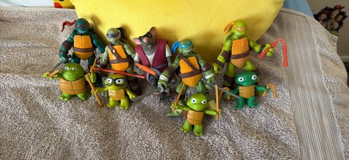 Teenage mutant ninja turtles - mutant,