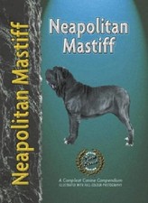 Neapolitan Mastiff-Carol