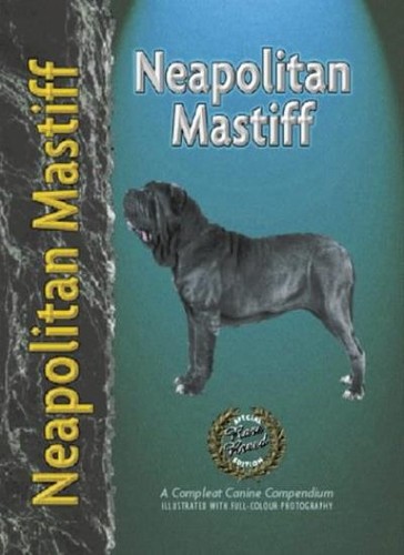 Neapolitan mastiff carol - neapolitan, mastiff-carol
