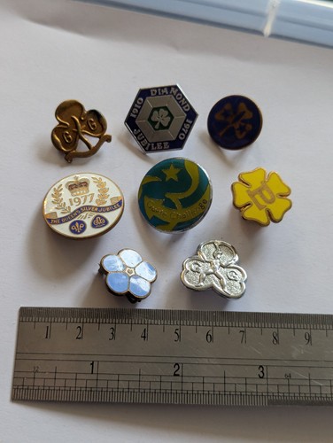 Vintage girl guides pin badges - guides,