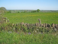 Photo A1 Pasture land near