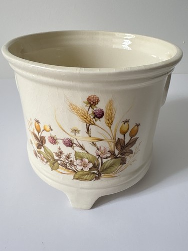 Michael planter plant - michael,