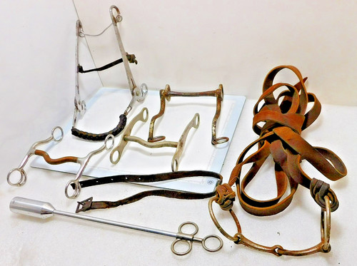 Horse bridle bits - bits, w/
