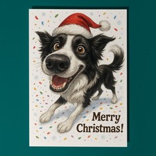 Border Collie  Dog Snout Party