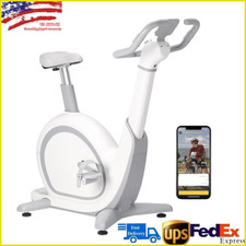 Exercise Bike, 350 Lbs Weight