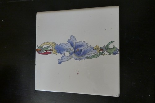 Blue iris stovax - stovax, fireplace
