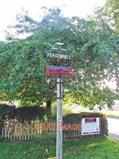 PHOTO  PEASENHALL VILLAGE SIGN
