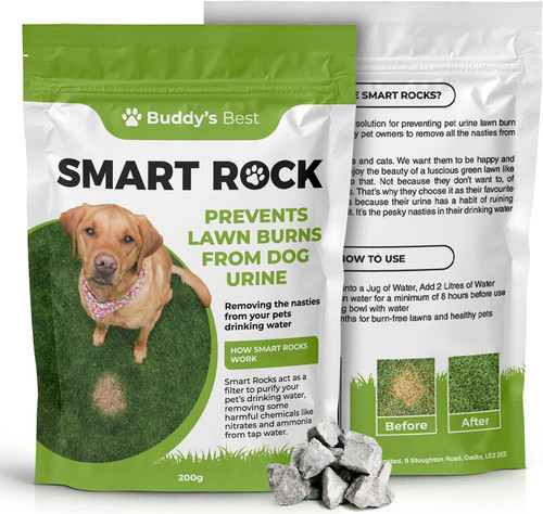 Buddy best 200g smart rocks - 200g,