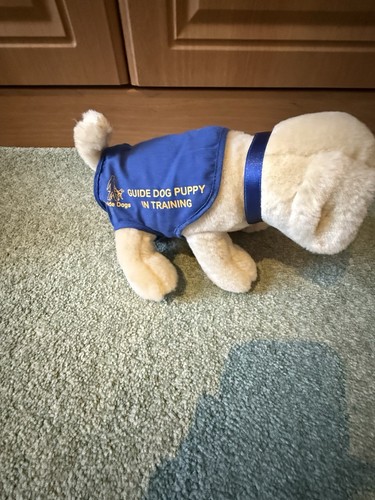 Andrex puppy guide dogs - andrex,