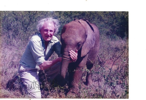David shepherd great british - shepherd-,