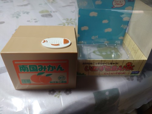 Cat piggy bank toy - piggy, with