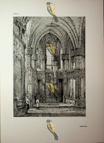 Amboise interior france - interior,,