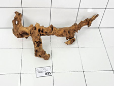 Premium Aquarium Natural
