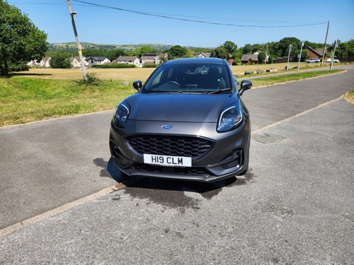 Ford puma line owners low - line,