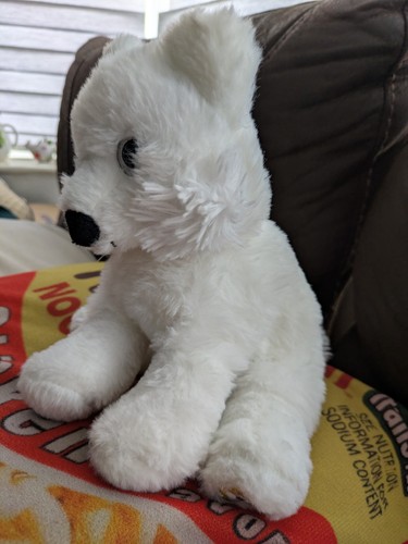 Bear factory arctic - arctic, white