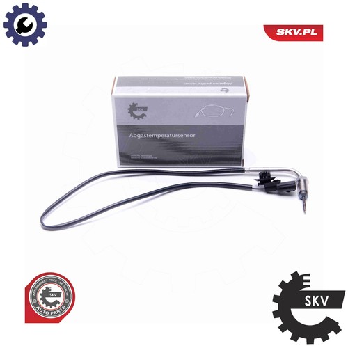 Sensor exhaust gas - gas, temperature