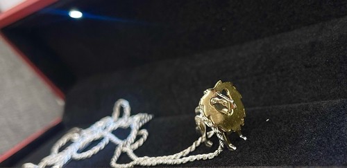 Tiffany save the wild - tiffany,