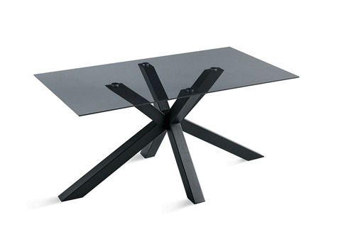 Modern rectangular smoked - modern,