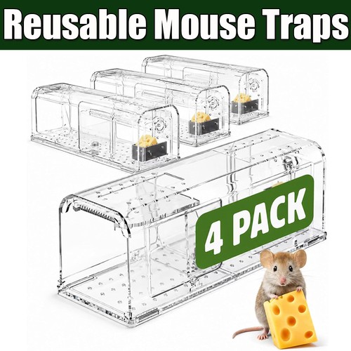 Dayplus humane mouse trap - trap, 4