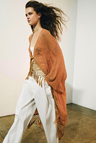 Zara collection embroidered - zara,