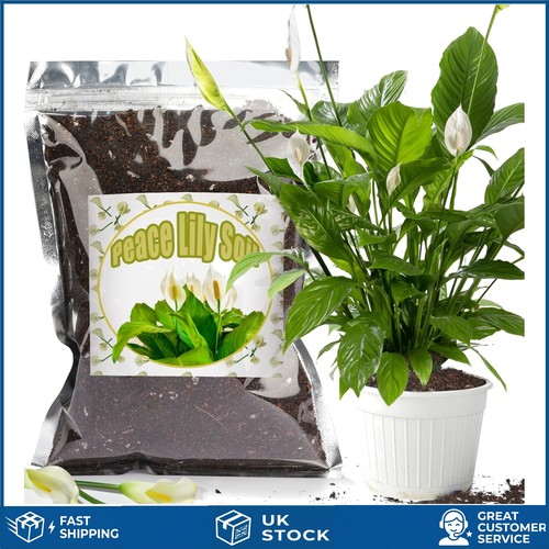 Nutrient rich organic - nutrient, peace