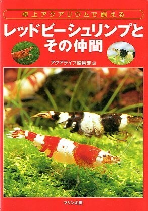 Red bee shrimp and - shrimp,