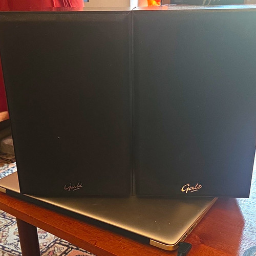 Gale mini monitor - mini,