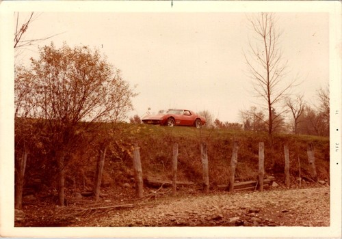 1971 vintage color photograph - vintage,