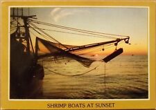 Shrimp boats at sunset, colour postcard, unposted