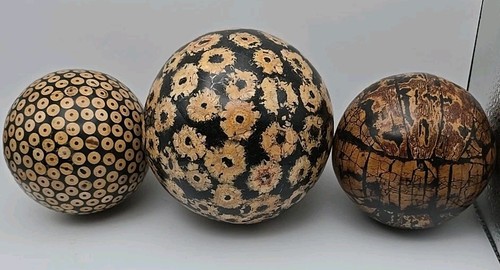 Decorative polished wood - decorative, round
