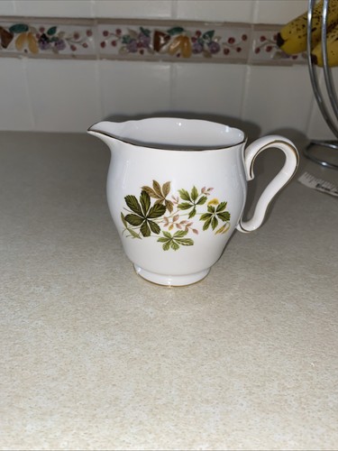 Antique gladstone fine - antique,