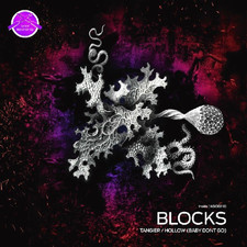 Blocks – Tangier / Hollow (Baby Don't Go)  - Inside Recordings - 2010 DnB 12"