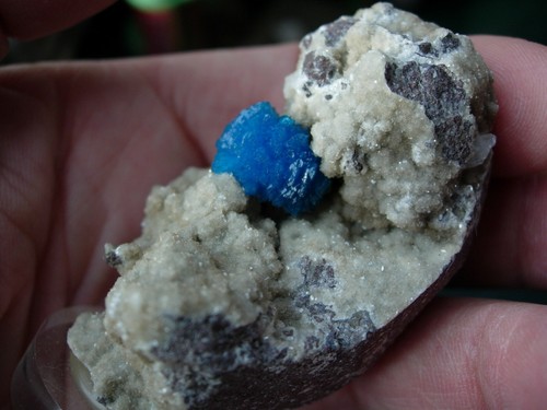 Stunning cavansite specimen - cavansite,