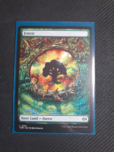 Dragon eye land - -, forest