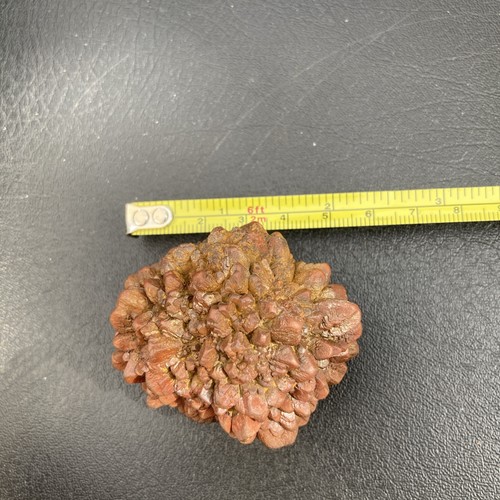 Iron pyrite nodule from - nodule,