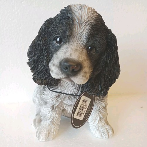 Vivid arts pet pals - vivid, cocker