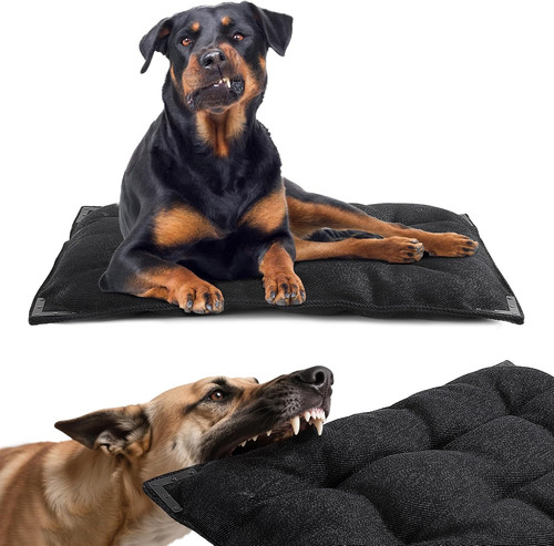Chew proof dog - proof, bed