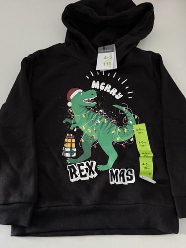 Boys dinosaur christmas - dinosaur,