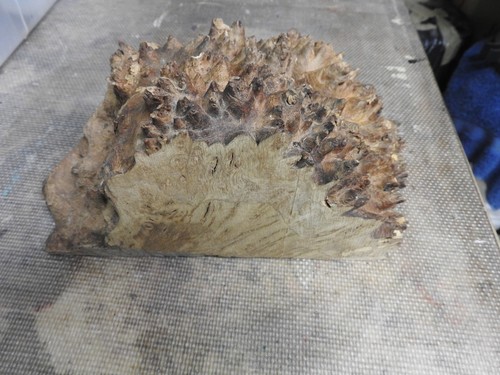 Woodturning burl blank - woodturning,