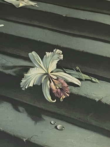 Tretchikoff the lost orchid - tretchikoff,