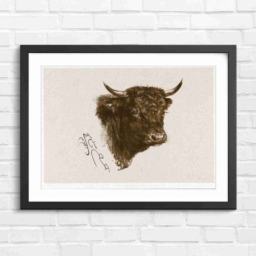 Vintage highland bull art - bull,