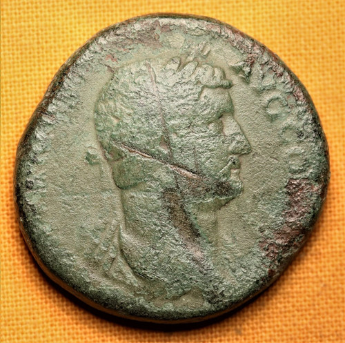 Ancient roman hadrian - roman,