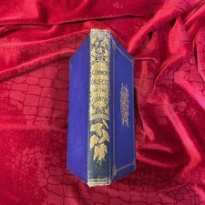 1859,  The Common Objects of