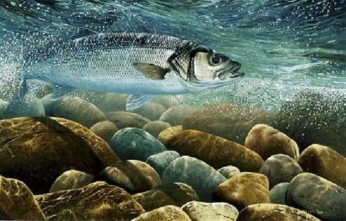 Sea fishing art - sea,