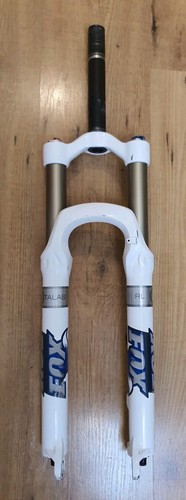 Fox talas front - fox,