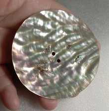 Abalone Shell 2-Hole Button