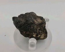 Coperlite Egg Fossil Permineralied W Embryo Hatching Extremely Rare