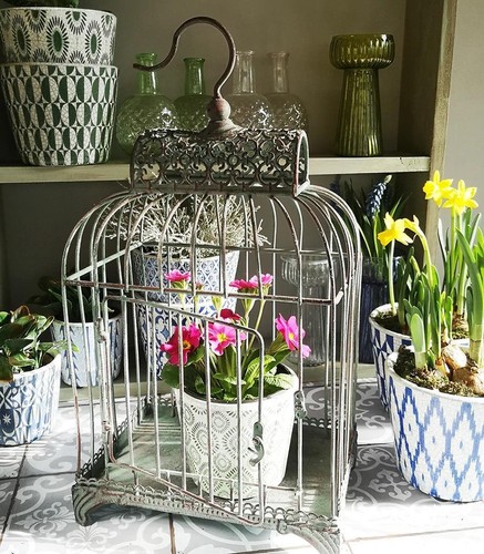 Decorative bird cage hanging - bird,