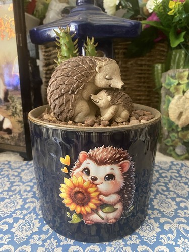 Cacti houseplant mother - cacti,